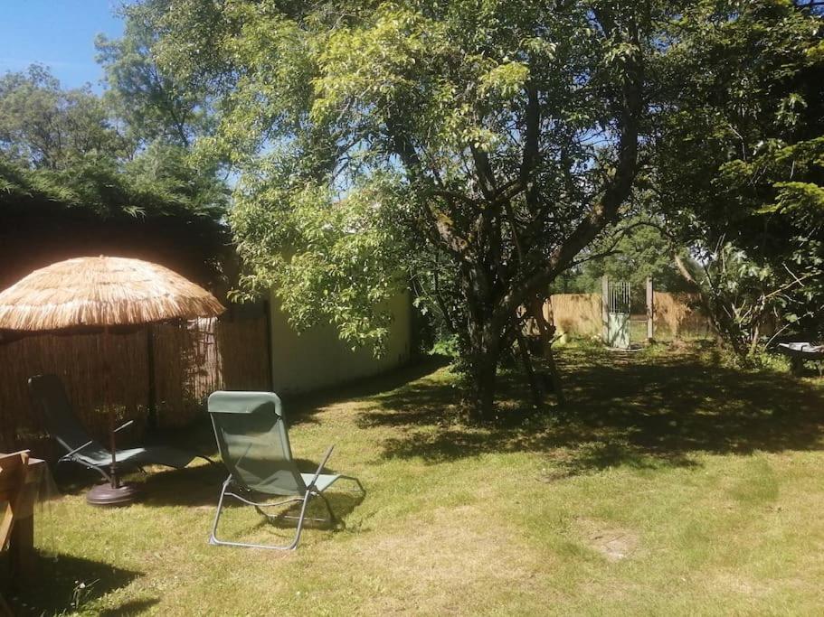 Maison " Bouton D'Or" Au Bord De L'Eau, A 10 Mn De Tours , Meuble Classe Une Etoile Saint-Avertin Εξωτερικό φωτογραφία